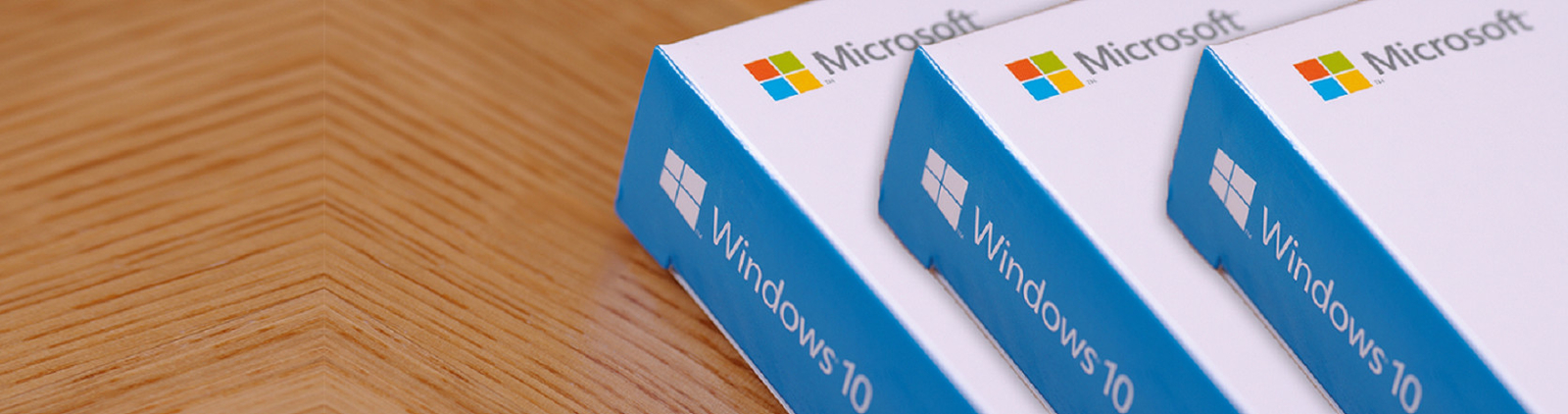 Microsoft Windows 10 Beroeps